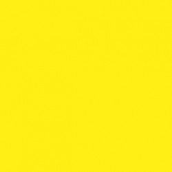 Lemon Yellow - PF419