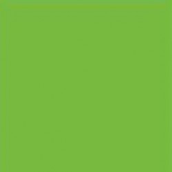 Lime Gloss Vinyl - 531
